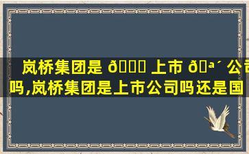 岚桥集团是 🐒 上市 🪴 公司吗,岚桥集团是上市公司吗还是国企